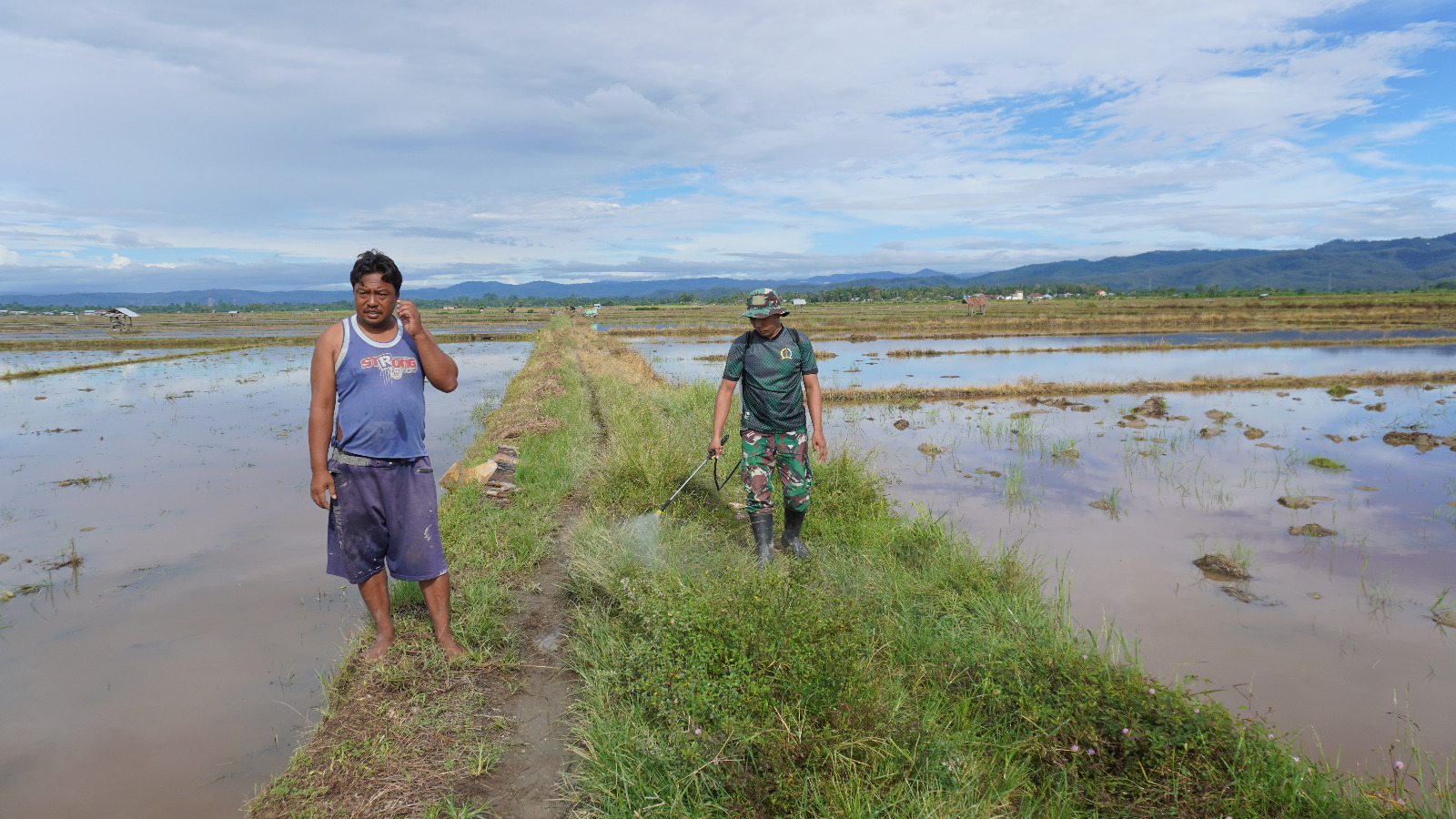 TERJUN KE SAWAH, SATGAS TMMD KE-120 KODIM 1506/NAMLEA BANTU WARGA SEMPROT GULMA DI SAWAH MILIK WARGA