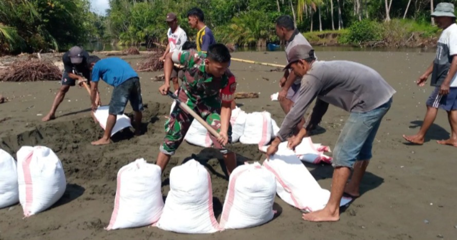 Antisipasi Abrasi, Babinsa Koramil 1505-03 Maba Bersama Warga Bangun Tanggul Penahan Ombak