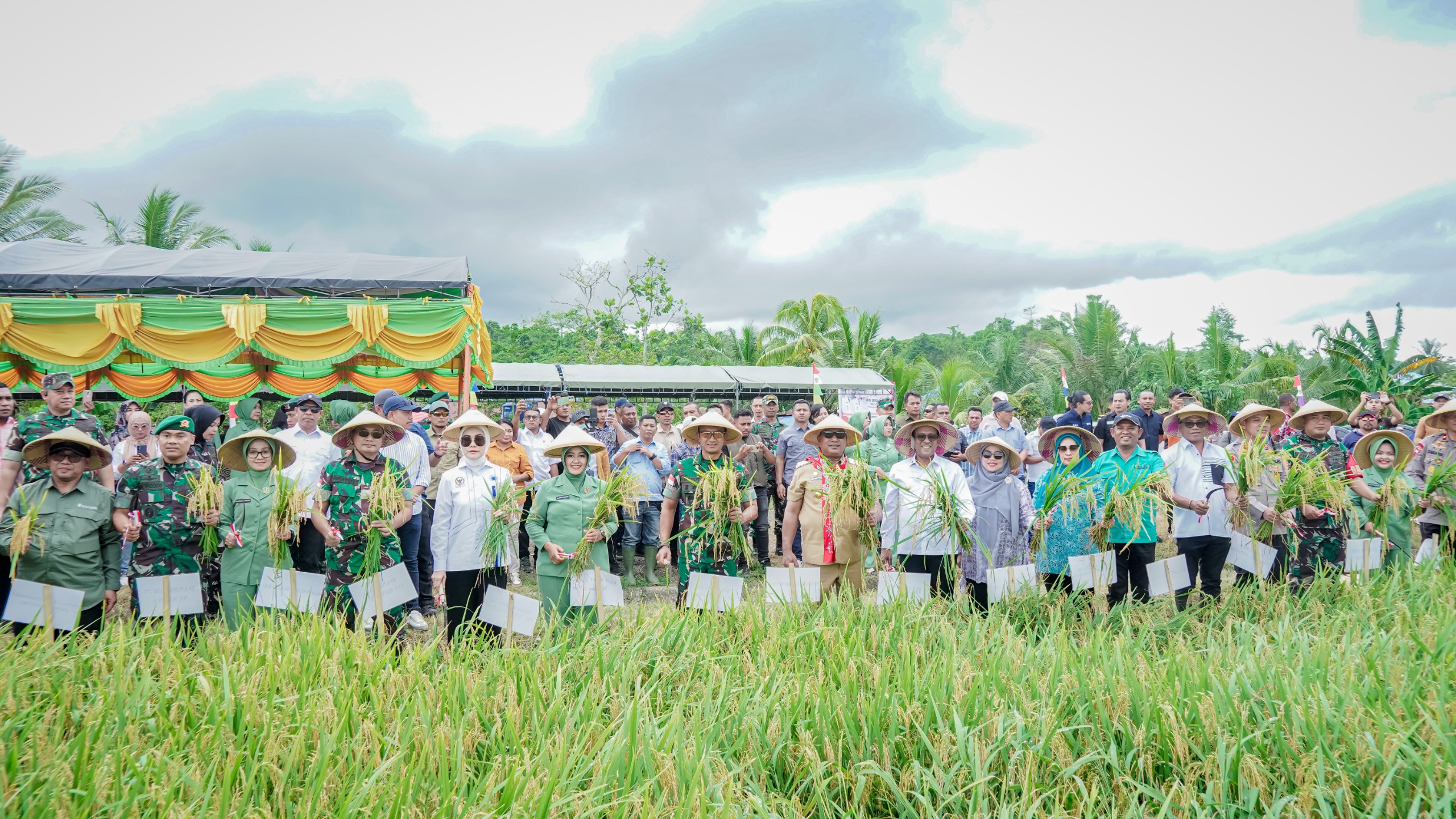 Dukung Ketahanan Pangan Nasional, Pangdam XV/Pattimura Hadiri Panen Raya Padi di Seram Utara Timur Kobi